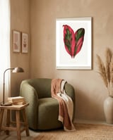 Alexander Francis Lydon & Benjamin Fawsett – Pink Dracaena Terminalis Leaf (1865) framed in a tender room thumbnail