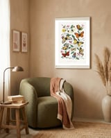 Paul Gervais – Butterfly and Moth Natural History Illustration (1842) framed in a tender room thumbnail