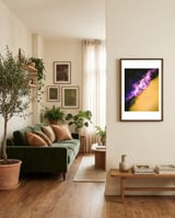 Space Waves framed in a grounding room thumbnail