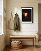 Saturn Riders I framed in a relaxed room thumbnail