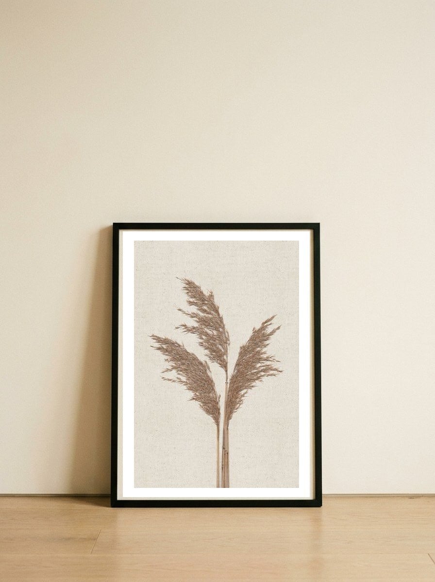 Dried Pampas Grass Stems — framed, leaning against the wall