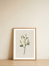 Yellow Botanical Specimen — framed, leaning against the wall thumbnail