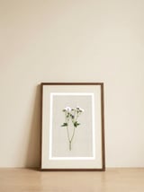 Purple Botanical Pressing — framed, leaning against the wall thumbnail