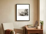 Snowy Pine Branches framed in a focused room thumbnail