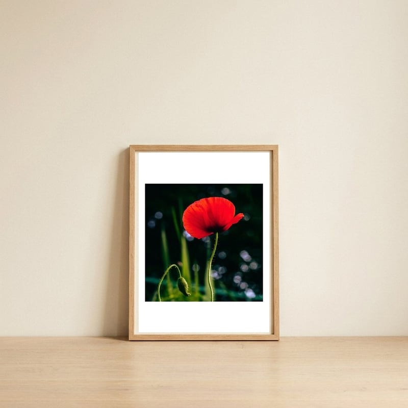 Vibrant Red Poppy — framed, leaning against the wall