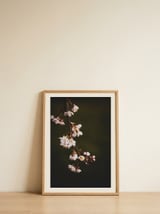 Delicate Spring Blossoms — framed, leaning against the wall thumbnail