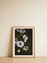 Moody White Blossoms — framed, leaning against the wall thumbnail