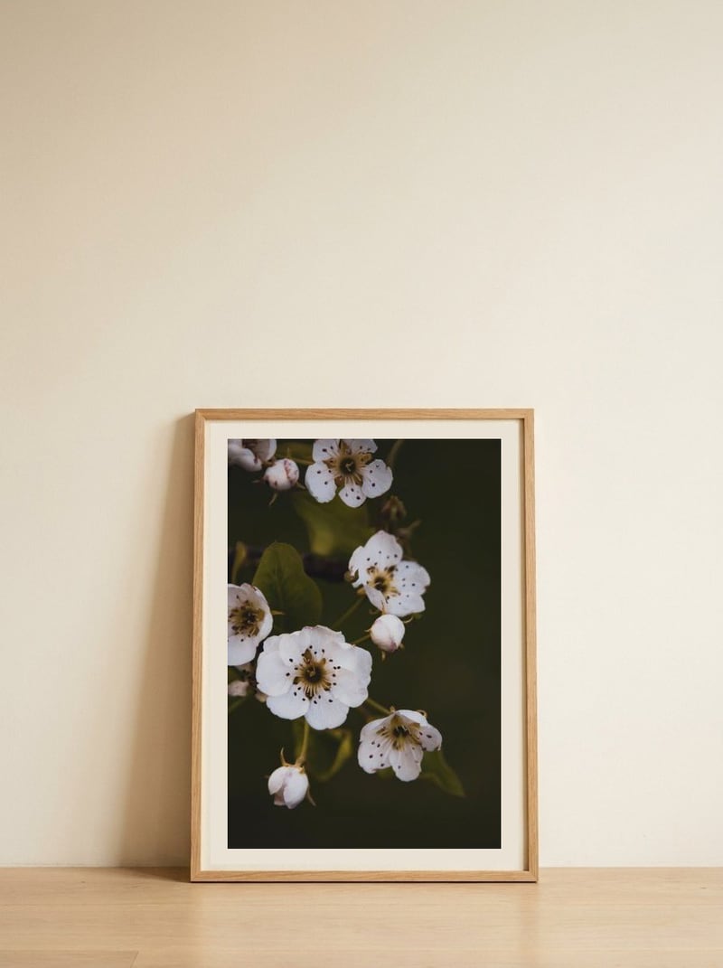 Moody White Blossoms — framed, leaning against the wall