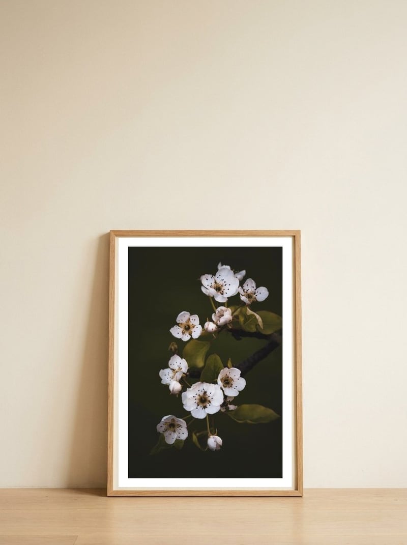 Delicate White Blossoms — framed, leaning against the wall