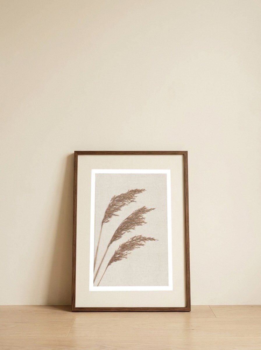 Dried Pampas Grass — framed, leaning against the wall