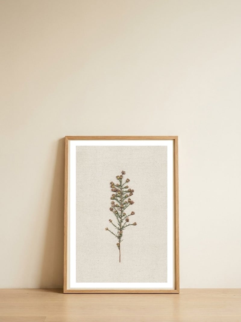 Dried Botanical Specimen — framed, leaning against the wall