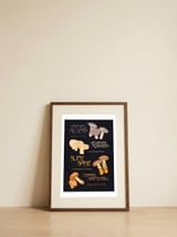 Wild Mushroom Varieties — framed, leaning against the wall thumbnail