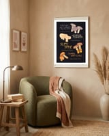 Wild Mushroom Varieties framed in a tender room thumbnail