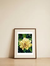 Vibrant Yellow Bloom — framed, leaning against the wall thumbnail