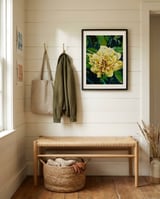 Vibrant Yellow Bloom framed in a relaxed room thumbnail