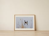 Serene Canada Geese — framed, leaning against the wall thumbnail