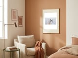 Serene Canada Geese framed in a tender room thumbnail