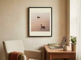 Golden Hour Geese framed in a focused room thumbnail