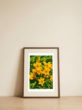 Vibrant Golden Blooms — framed, leaning against the wall thumbnail