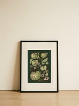 Sketched Green Apples — framed, leaning against the wall thumbnail