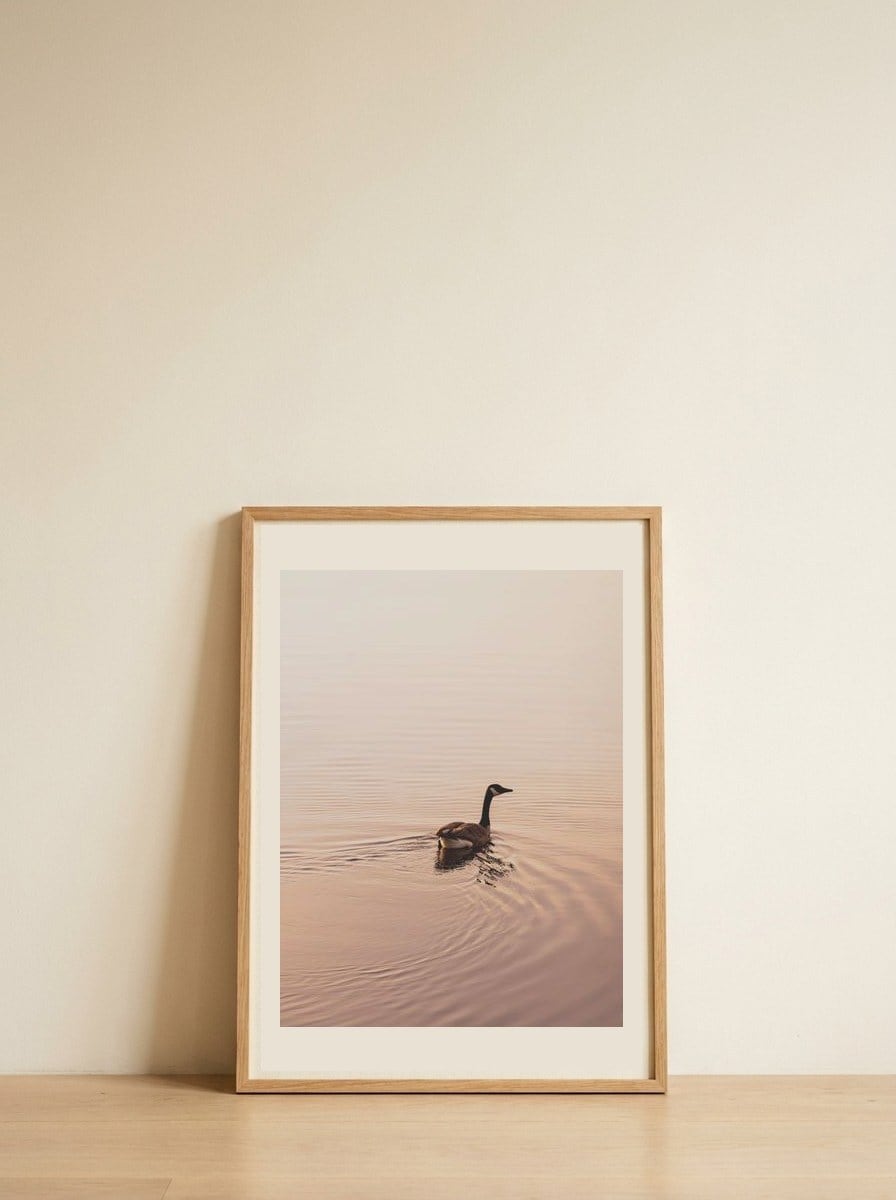 Serene Goose Swim — framed, leaning against the wall
