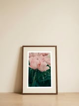 Soft Pink Peonies — framed, leaning against the wall thumbnail