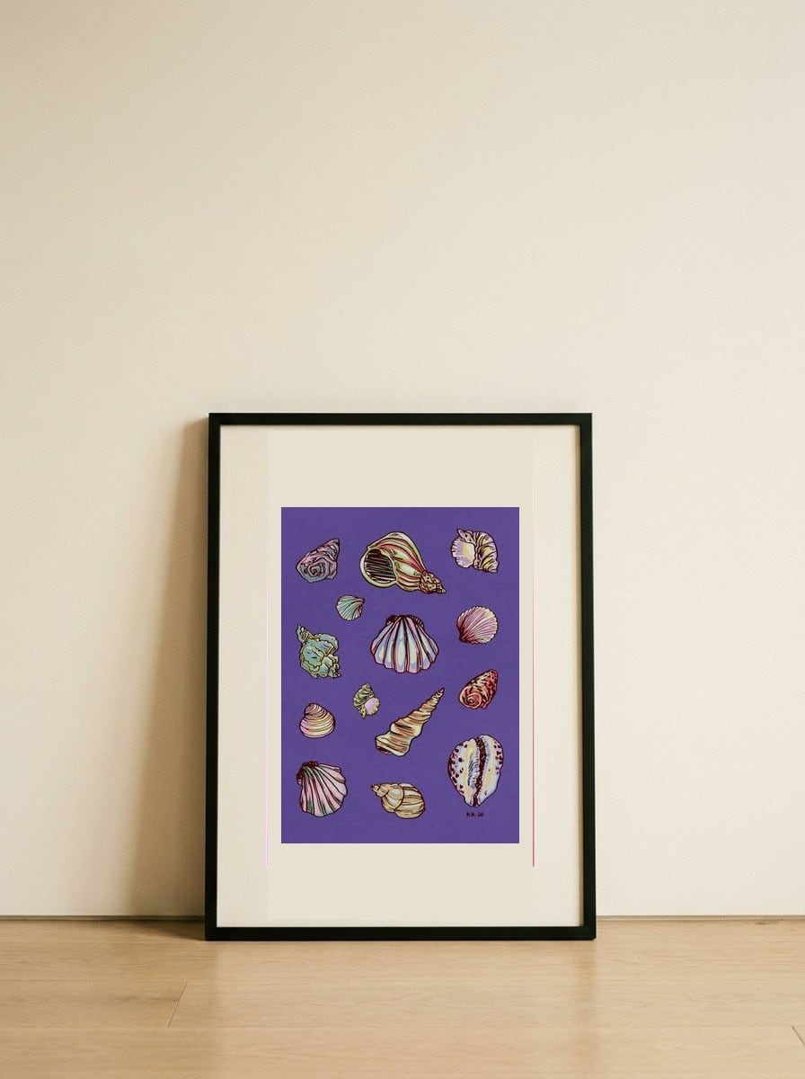 Colorful Seashell Collection — framed, leaning against the wall