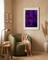 Purple Window Plants framed in a tender room thumbnail