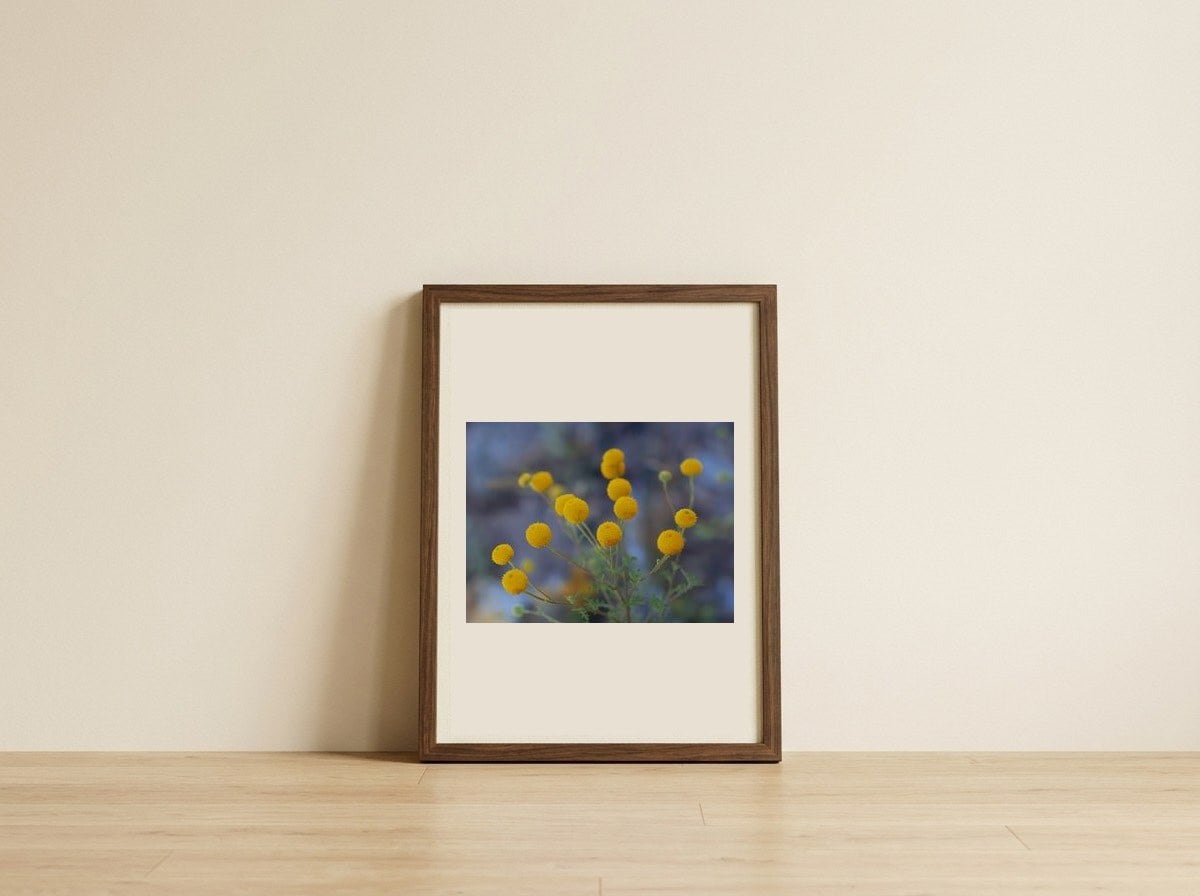 Bright Yellow Globes — framed, leaning against the wall