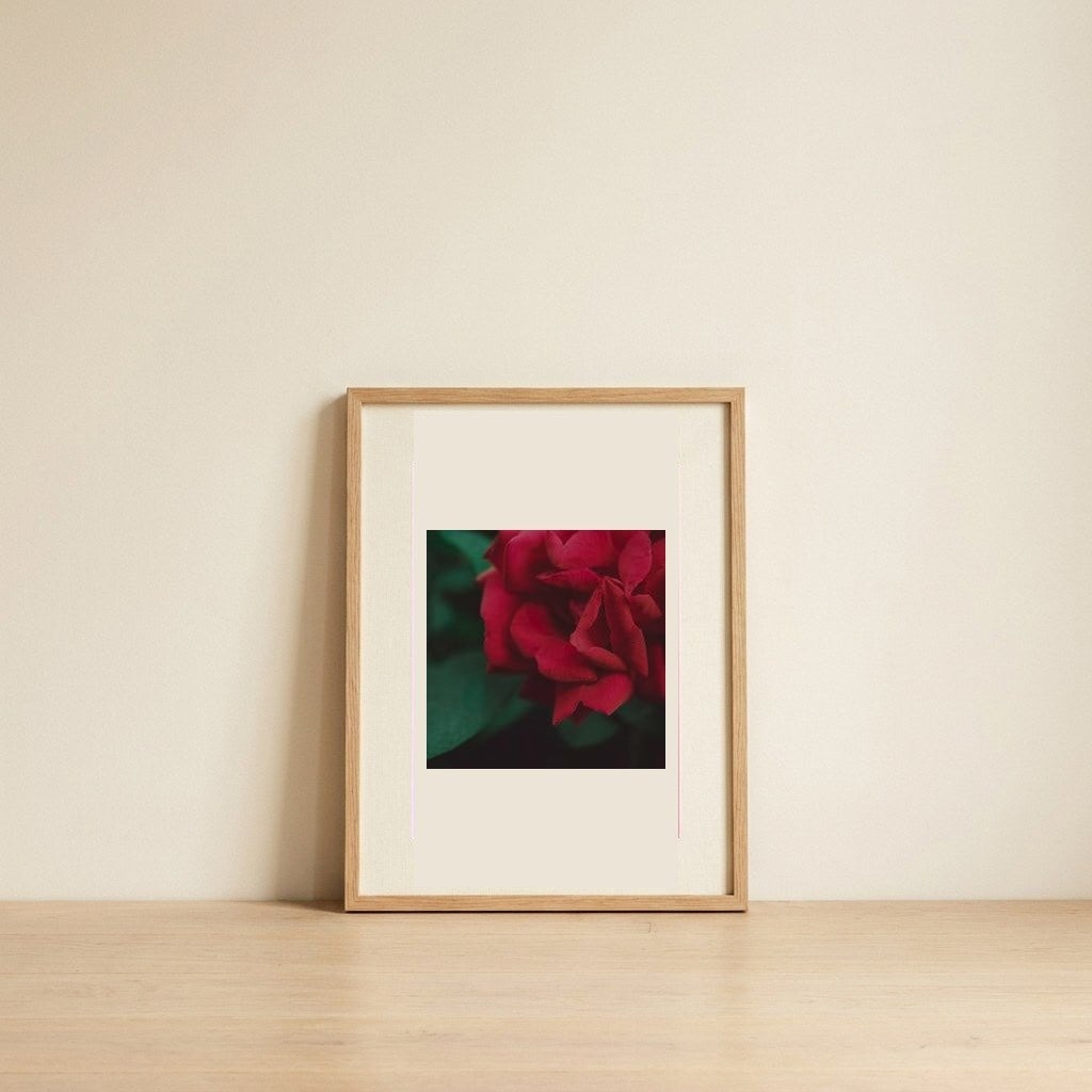 Velvet Red Rose — framed, leaning against the wall
