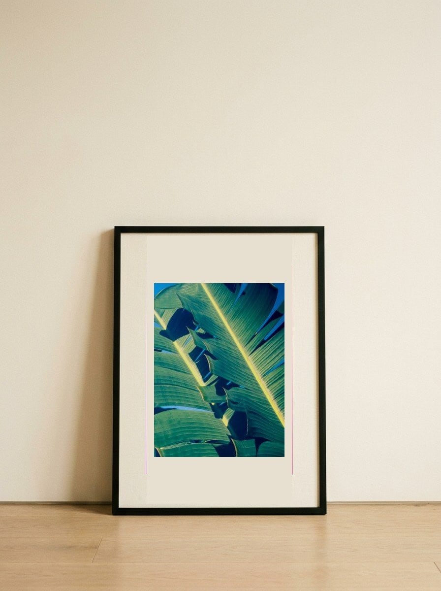 Sunny Tropical Leaves — framed, leaning against the wall