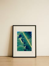 Sunny Tropical Leaves — framed, leaning against the wall thumbnail