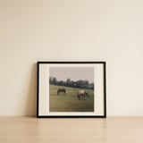 Horses Grazing In Pasture — framed, leaning against the wall thumbnail