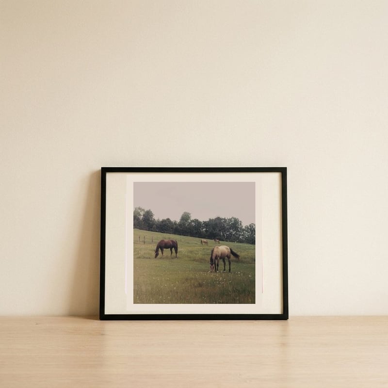 Horses Grazing In Pasture — framed, leaning against the wall