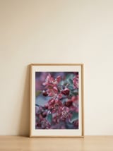 Dreamy Pink Blossoms — framed, leaning against the wall thumbnail