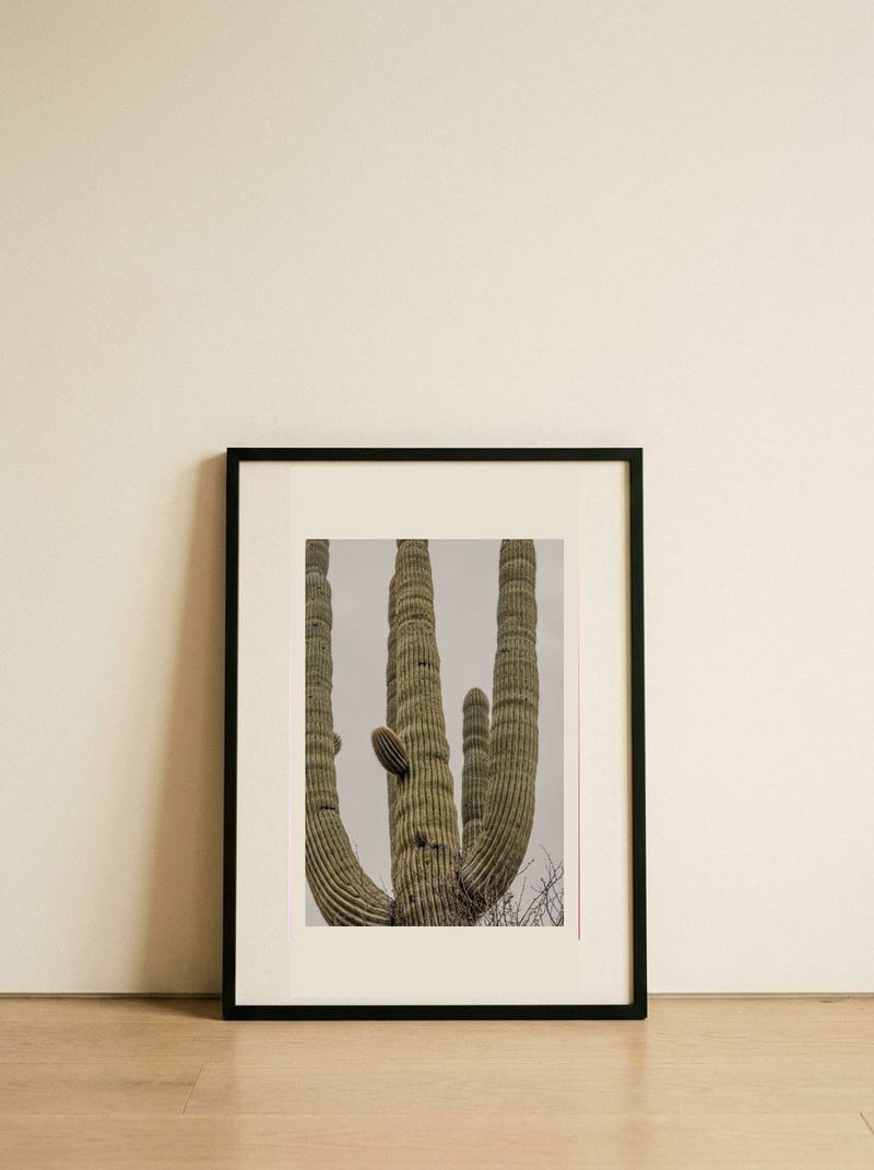 Towering Saguaro Cacti — framed, leaning against the wall