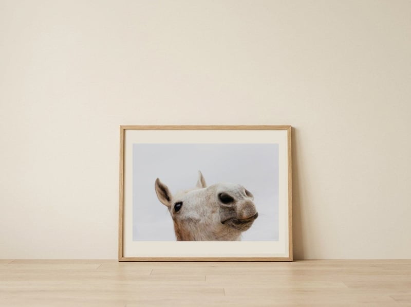 Curious White Horse — framed, leaning against the wall