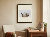 Curious White Horse framed in a focused room thumbnail