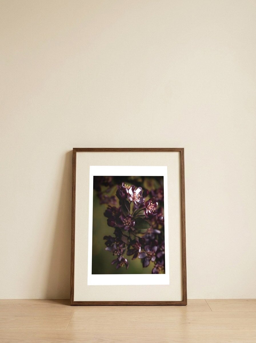 Deep Violet Blossoms — framed, leaning against the wall