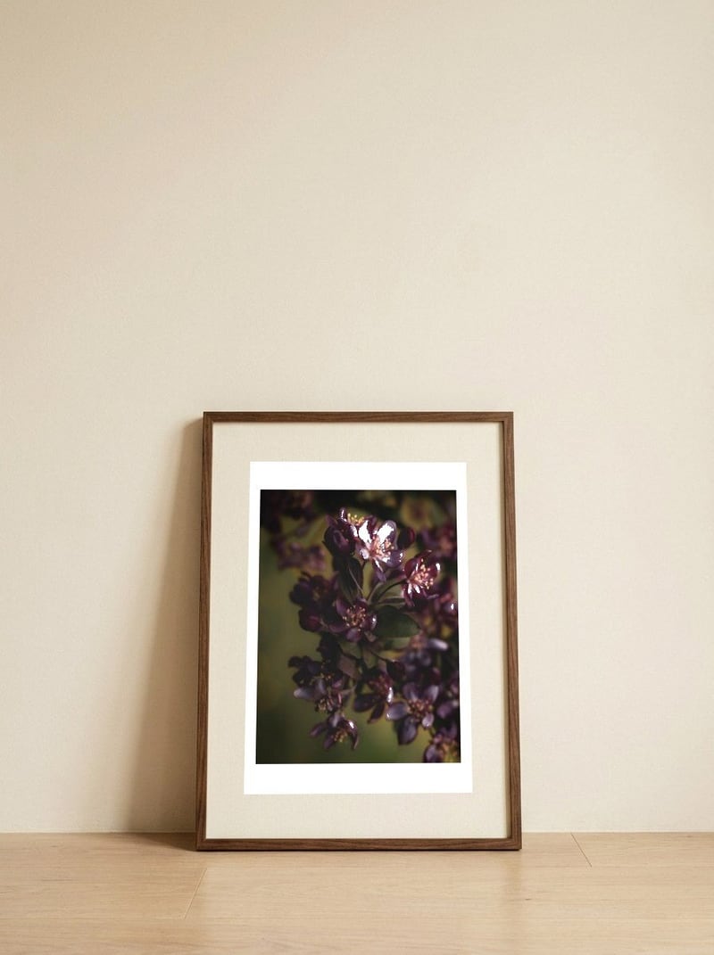 Deep Violet Blossoms — framed, leaning against the wall