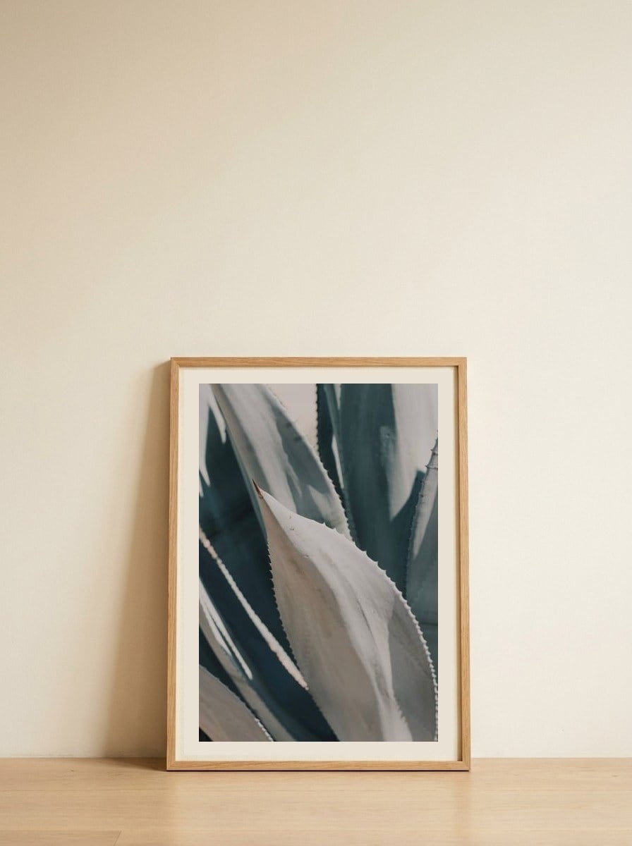 Blue Agave Leaves — framed, leaning against the wall