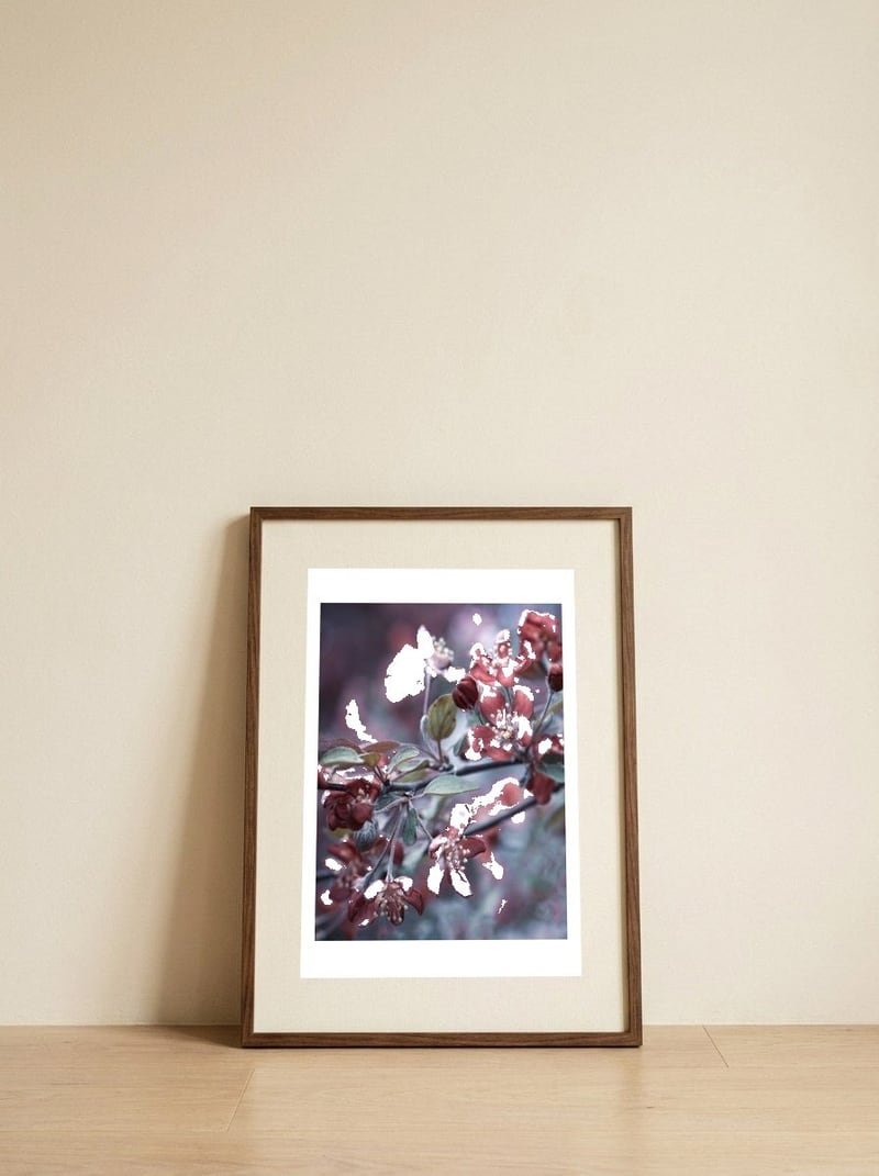 Dreamy Spring Blossoms — framed, leaning against the wall