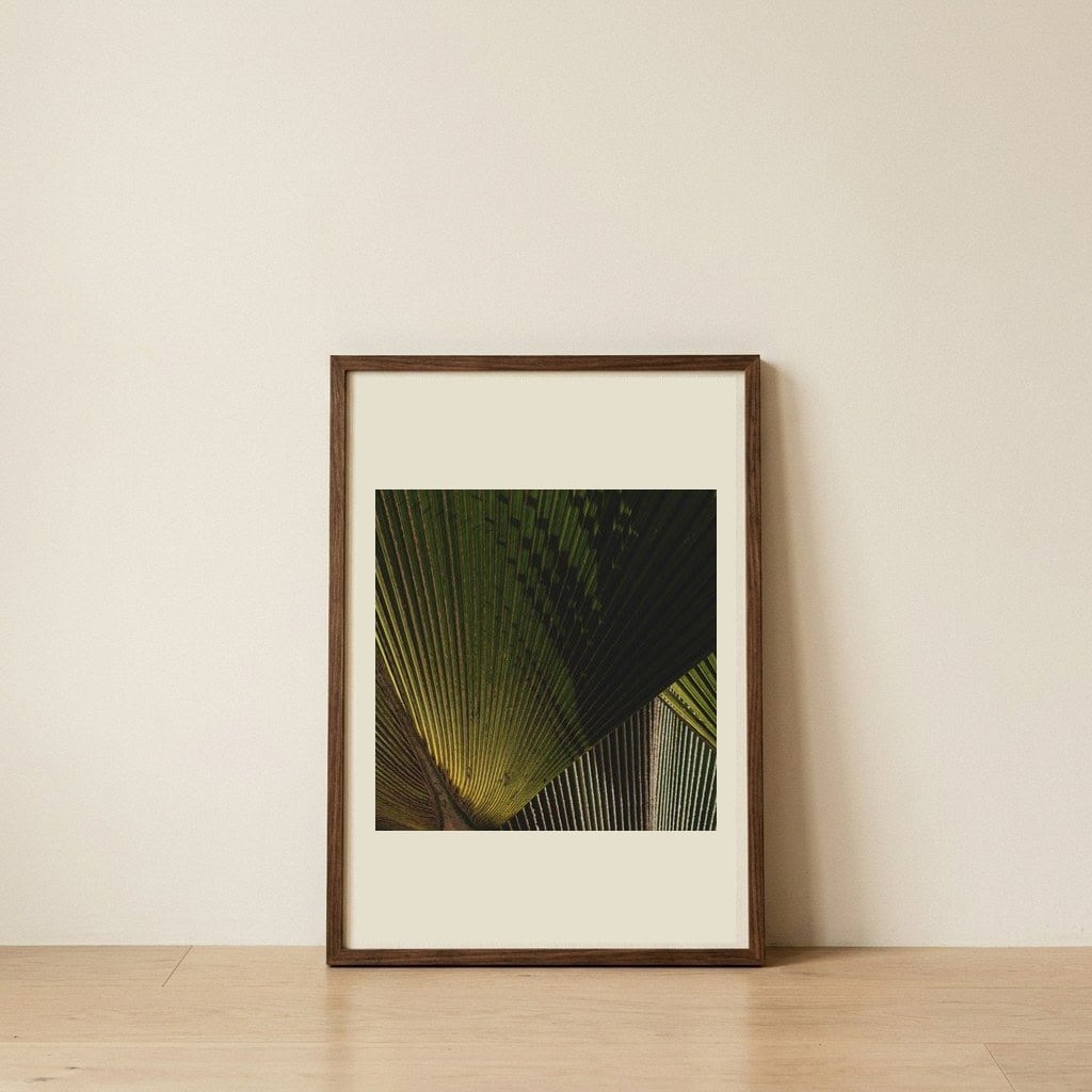 Radiant Palm Leaf — framed, leaning against the wall