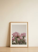 Gentle Pink Peonies — framed, leaning against the wall thumbnail