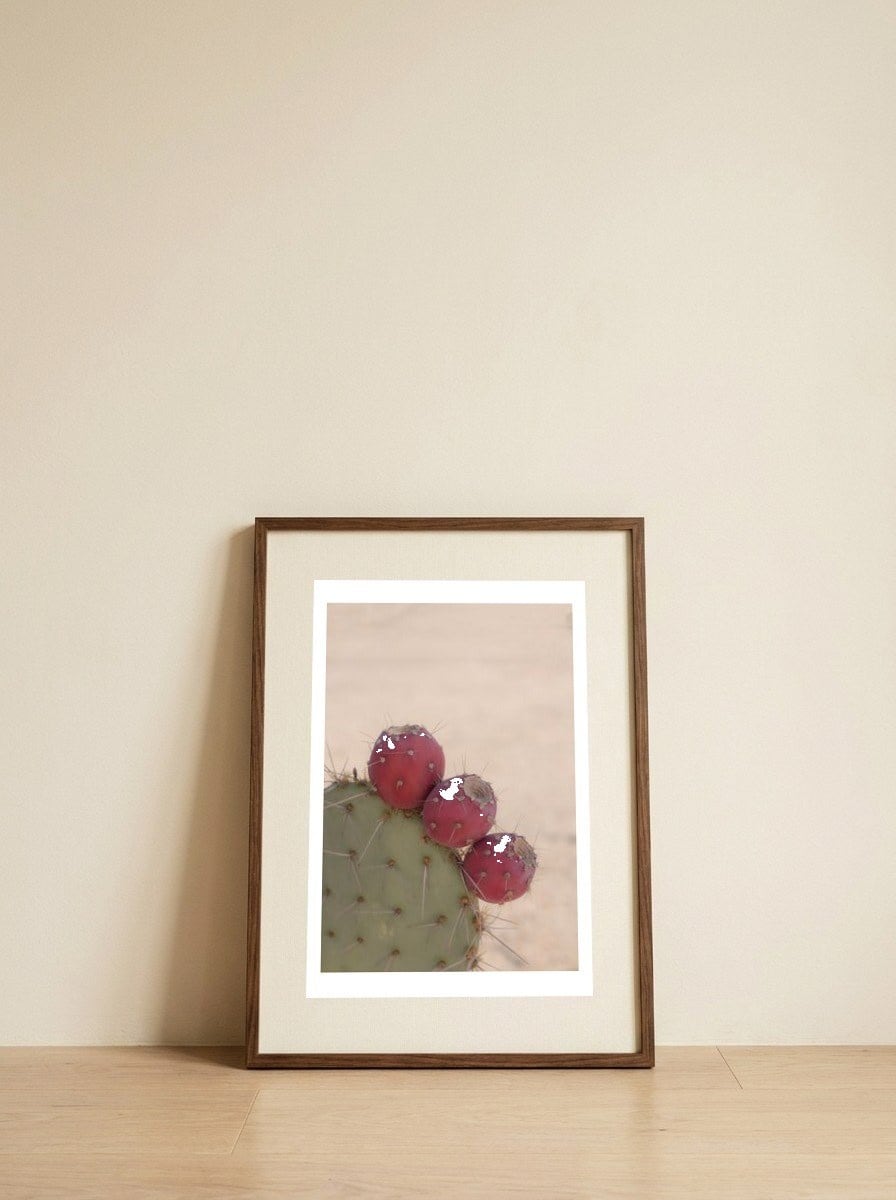 Prickly Pear Cactus Fruit — framed, leaning against the wall