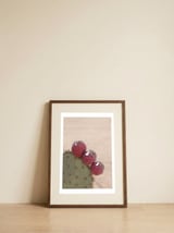 Prickly Pear Cactus Fruit — framed, leaning against the wall thumbnail