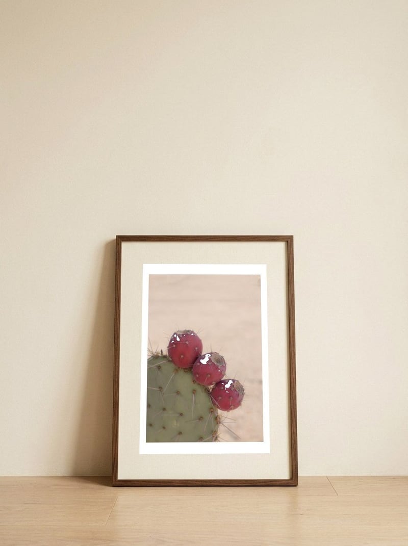 Prickly Pear Cactus Fruit — framed, leaning against the wall