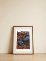 Vibrant Forest Sunset — framed, leaning against the wall thumbnail