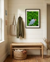 Kitten With Pink Flower framed in a relaxed room thumbnail