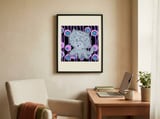 Big Eyed Fluffy Cat framed in a focused room thumbnail